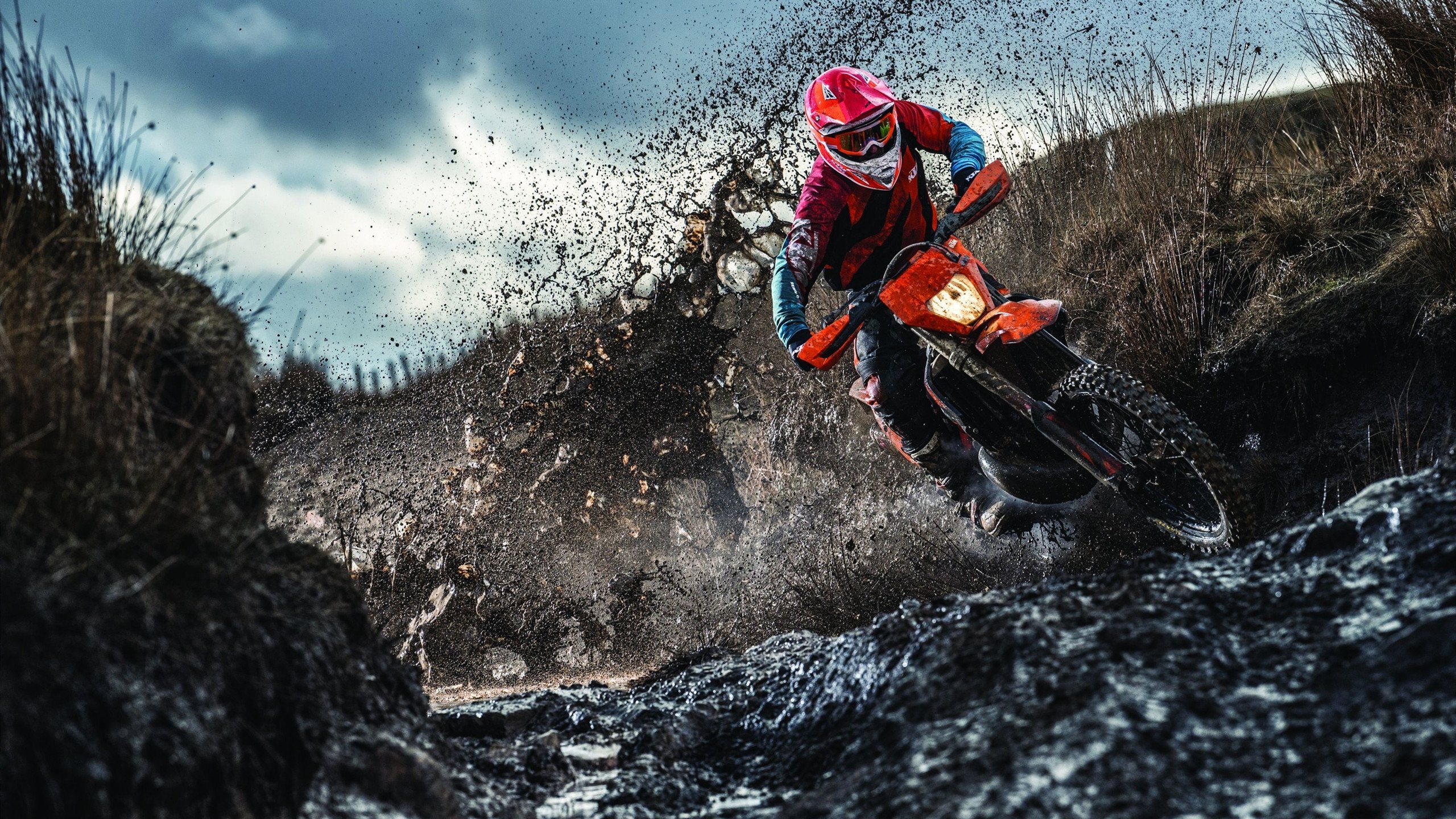 “年度最佳运动团队奖” 纳入公司文化表彰体系